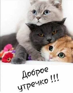 IMG-20240511-WA0004