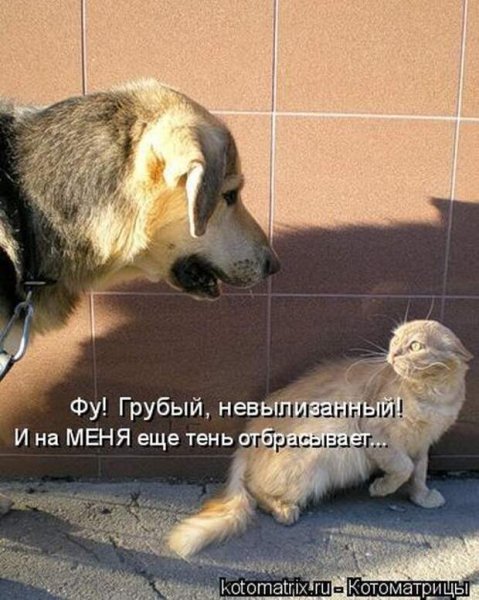 Тень отбрасывает...