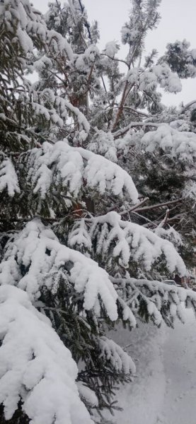 picture_404920700