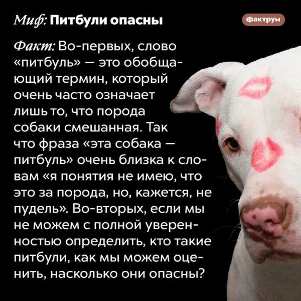 Это интересно