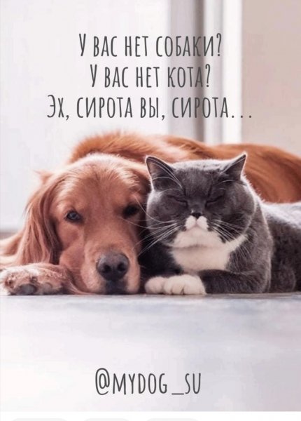 Да!