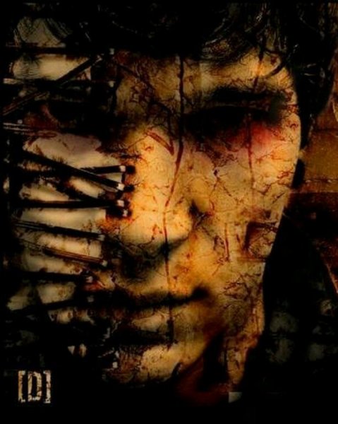 Amatory-74-1-1