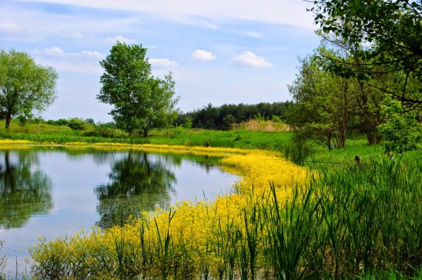 Nature6