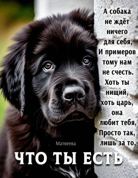 Верные слова!