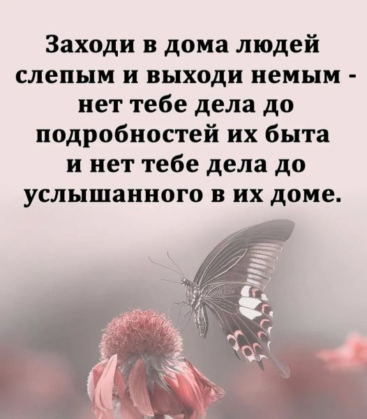 IMG-20240907-WA0126
