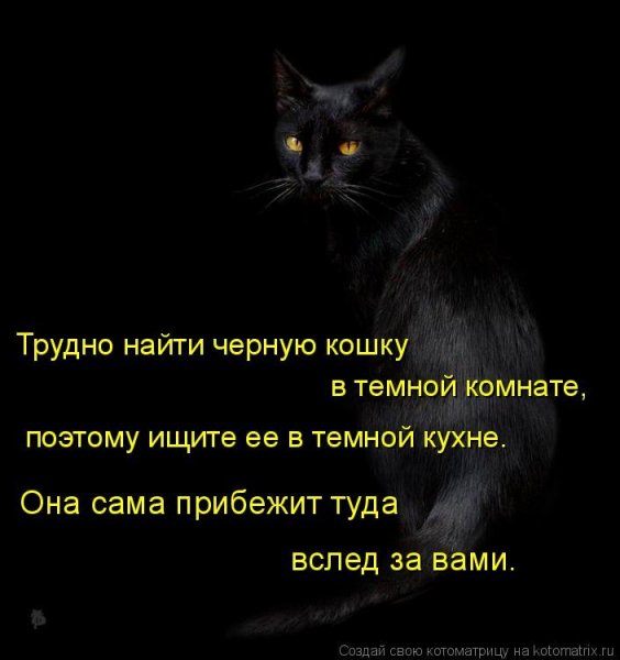 Так и есть!