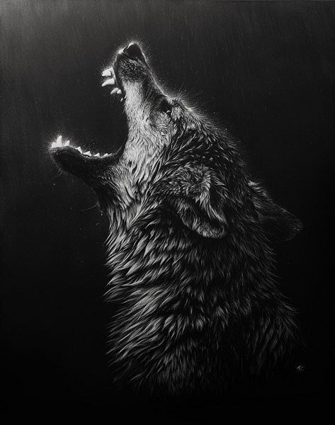 Wolf