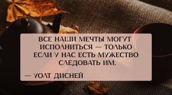 IMG 20251003 073523