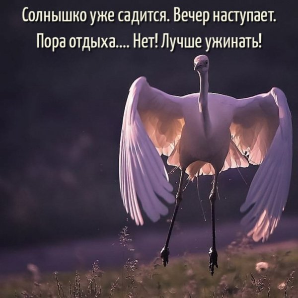 Нет! Лучше ужинать!