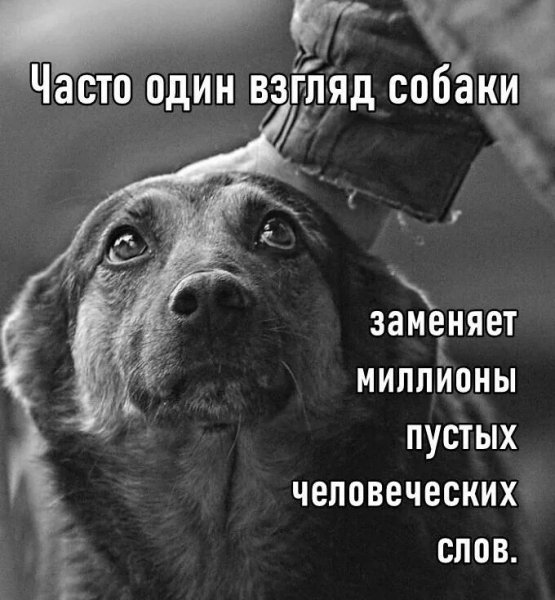 Так!