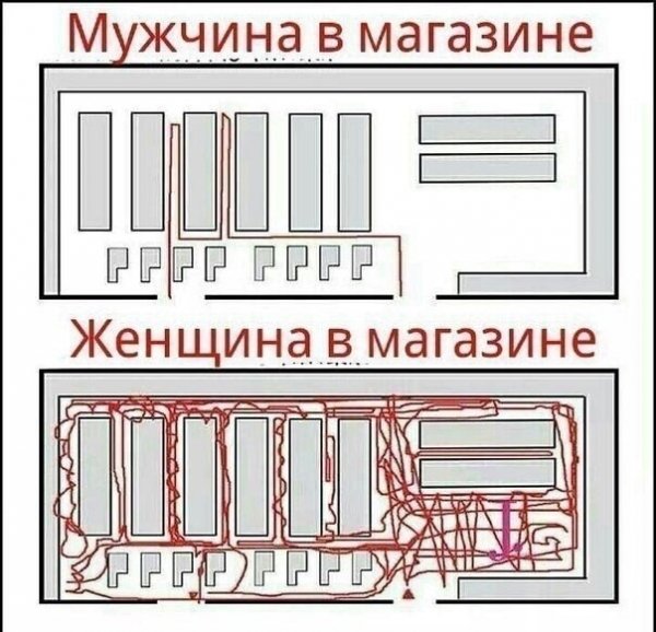 Маршрут)