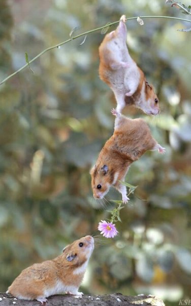 friendship+photo-1