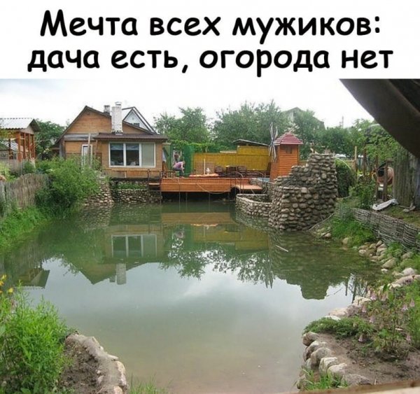 original (6)