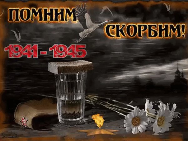 image(66)