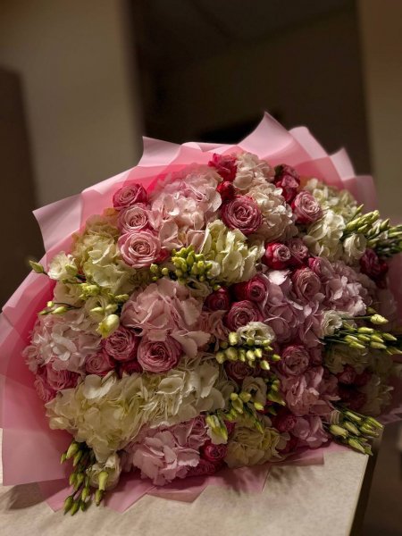 IMG 20250206 381