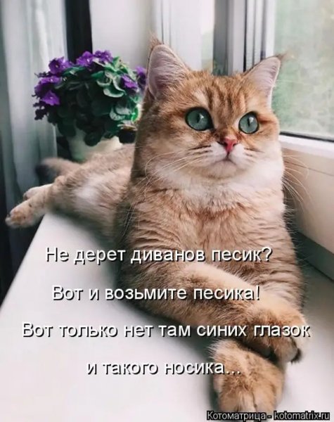 И такого носика...
