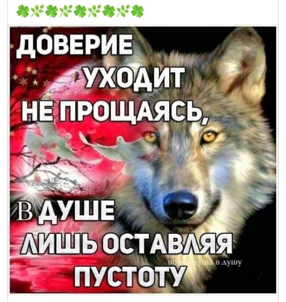 Screenshot 2021-05-06-01-39-44-903 com.android.browser~01