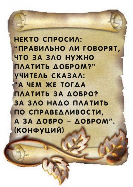 Dobrogoutra ru 25458