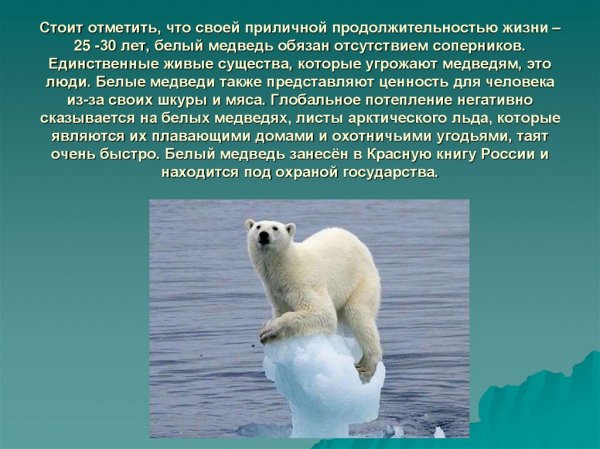 Стоит отметить...