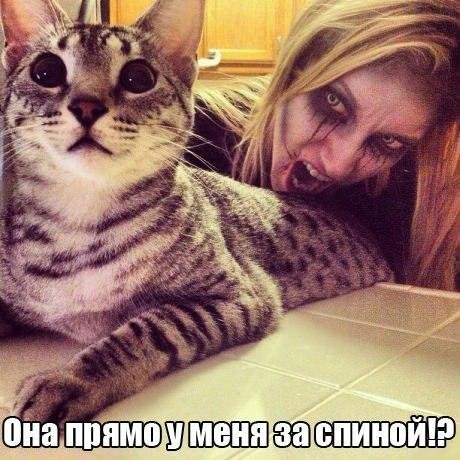 picture_171269299