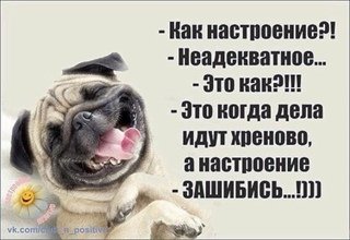 Опаньки!