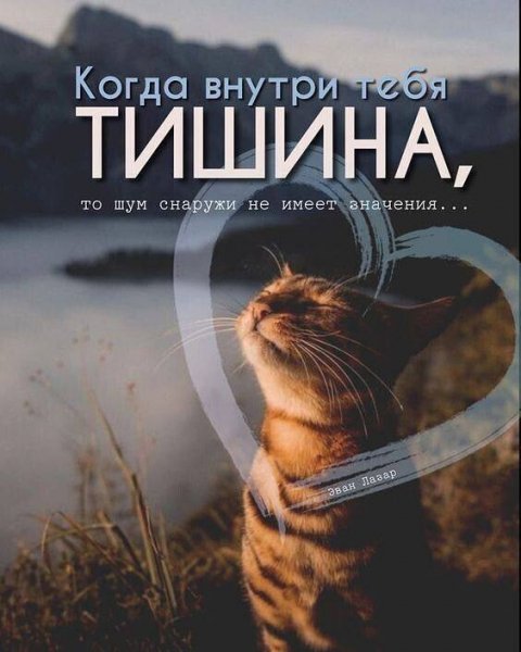 CCHVaCPsrC7OMpOM6FWwbDUmQjW3BD647nVbofjm-DMZyYNP8plJp06ZKZd7