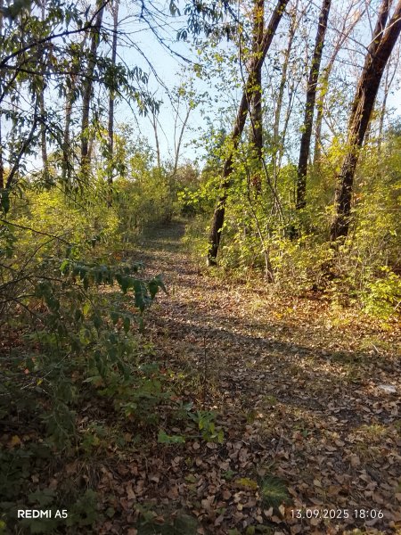 picture_396437640
