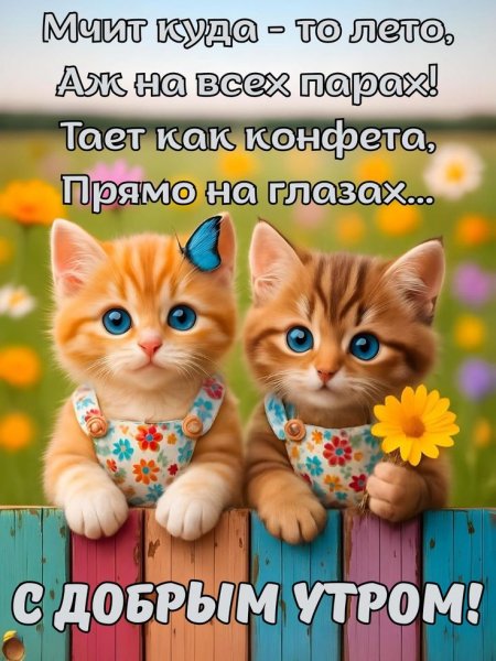 a9e63cb6682c066bbde4035bc5c13