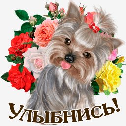 getImage(16)