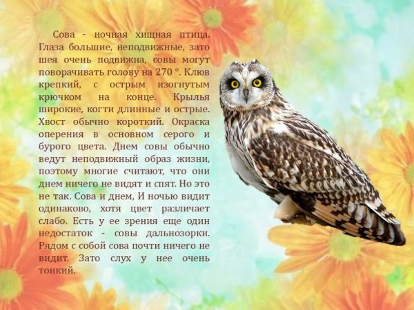 Сова