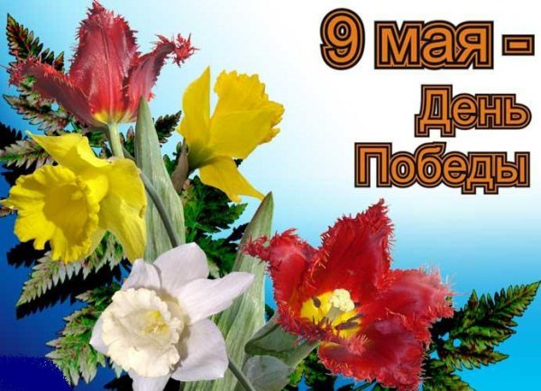 9 may 07