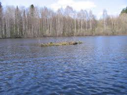 pics