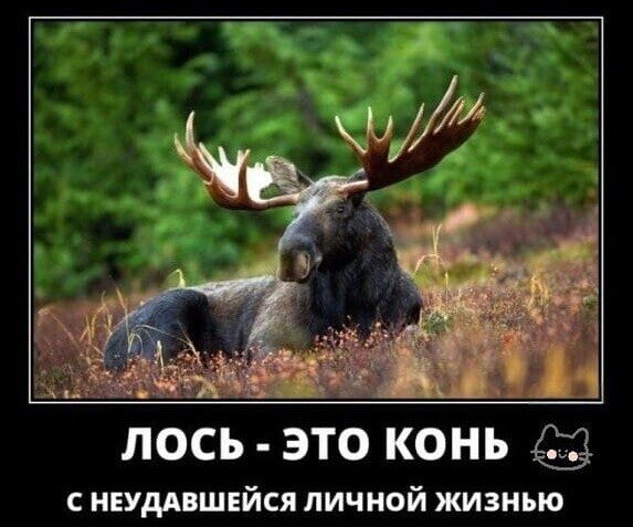 9c9bbd35f0449766d