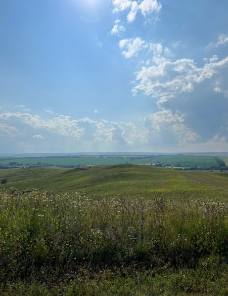 picture_396606157