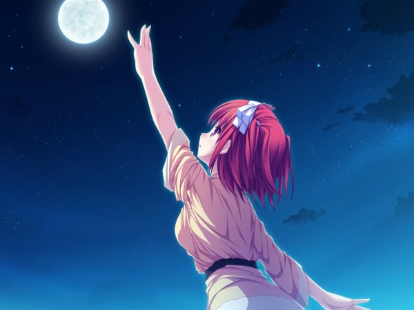 anime devushka luna noch 13302 1600x1200