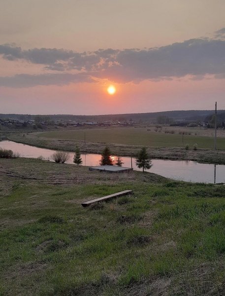 picture_395303520