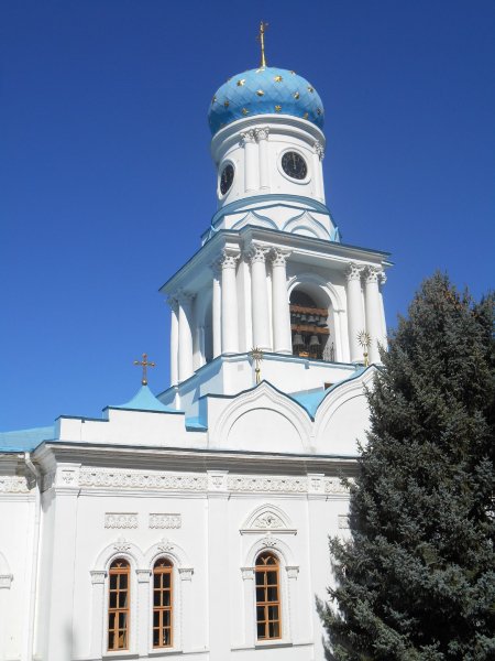 DSCN2324