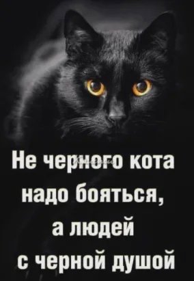 cLVqMyYZKwBvEmAlTu6C6qHY7H tIOHhZkt6FIVjmfPW2qvcWJ2MmvNbld