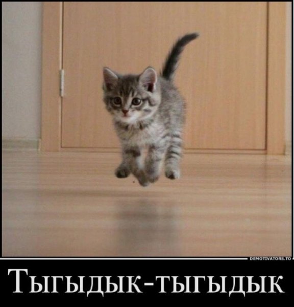 Ночь наступила