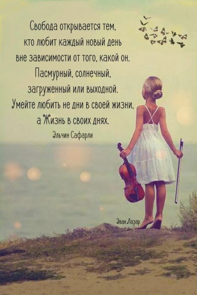 Верные слова!