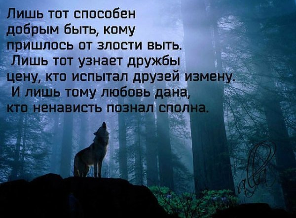 Выть