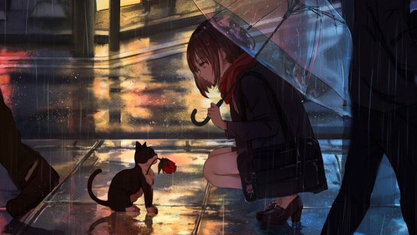 devushka kotenok tsvetok 141058 1280x720