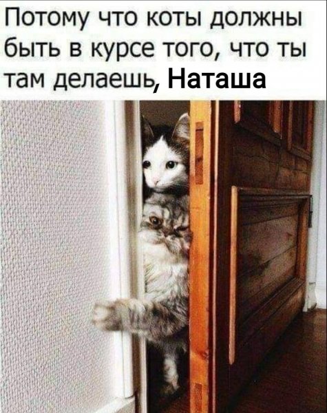 Да! ))