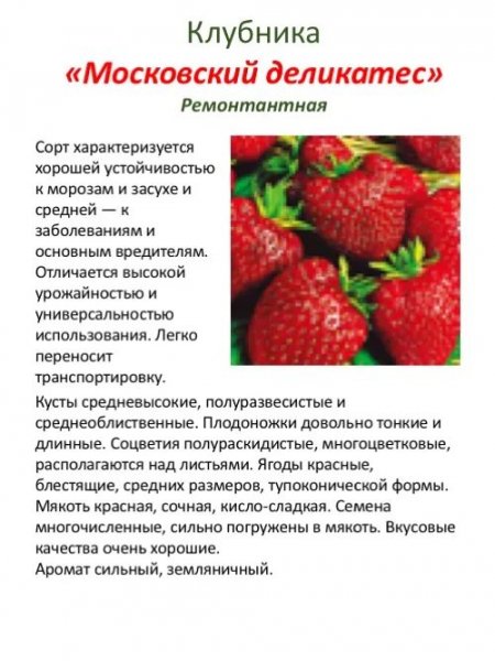 "Московский деликатес "