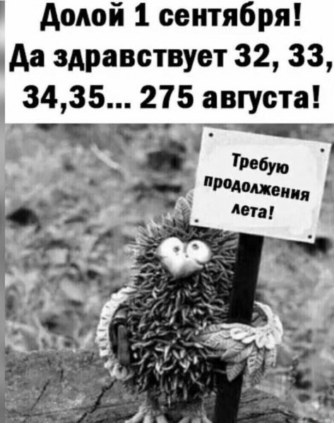 Юмор
