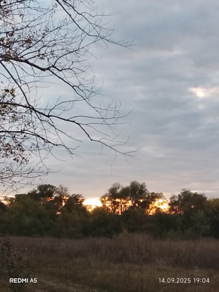 picture_396438528