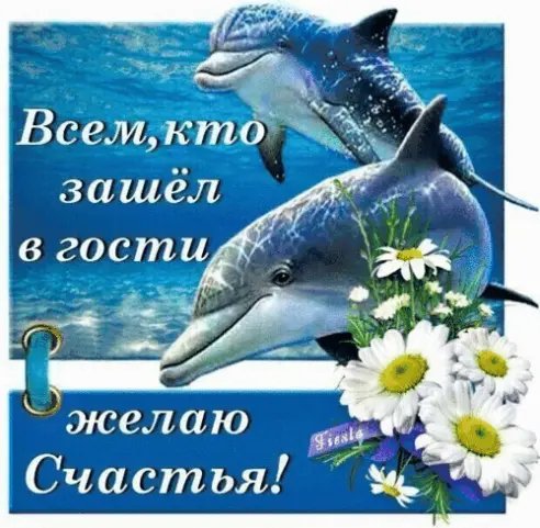 image (8)