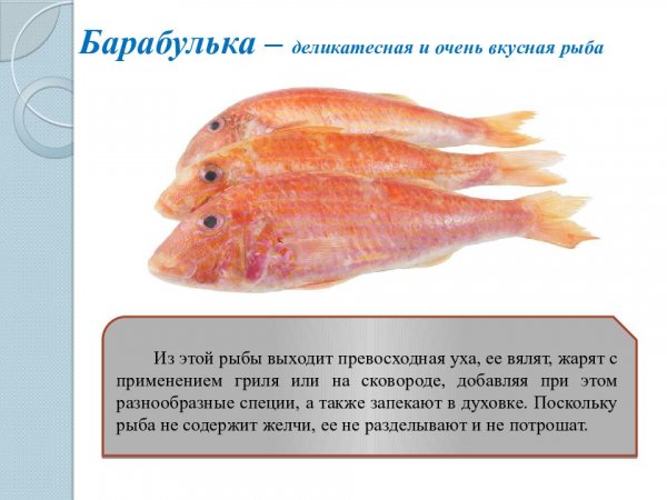 Барабулька