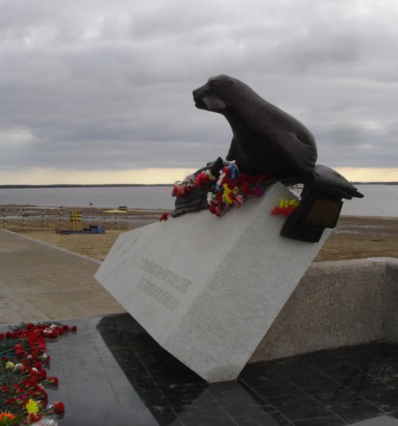 Памятник тюленю. Архангельск