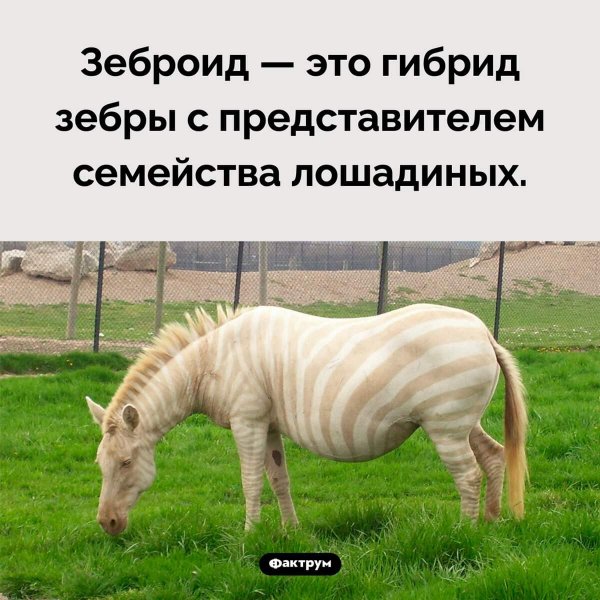IMG-20231222-WA0031